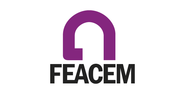 logo vector FEACEM