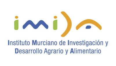 logo vector IMIDA