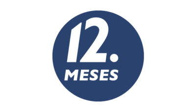 logo vector 12 meses