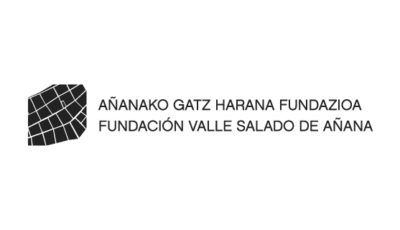 logo vector Fundación Valle Salado de Añana