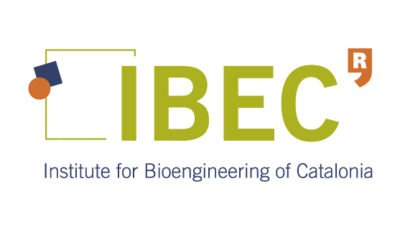 logo vector IBEC