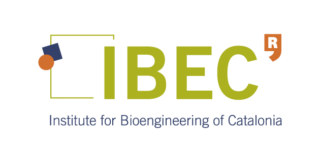 logo vector IBEC