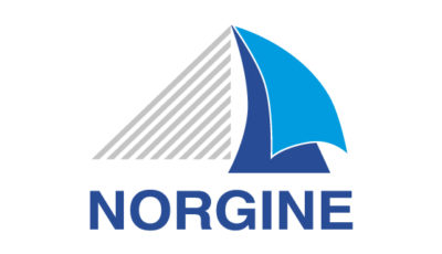 logo vector Norgine
