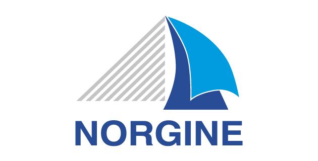 logo vector Norgine