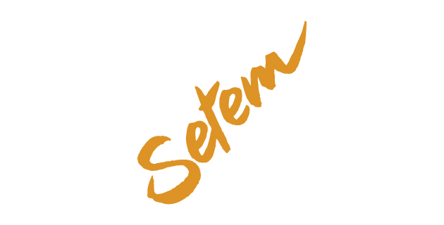 logo vector Setem