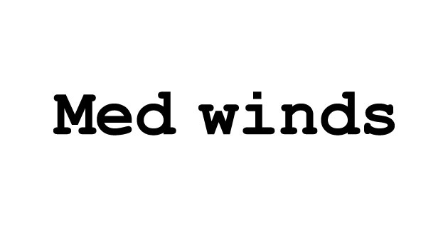 logo vector Med winds