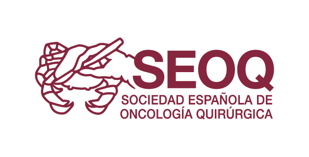 logo vector SEOQ
