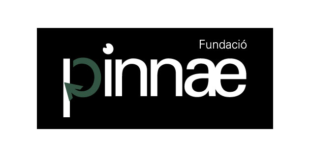 logo vector Fundacion Pinnae