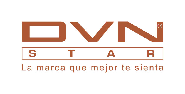 logo vector Divani Star