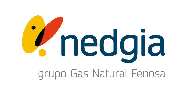 logo vector Nedgia
