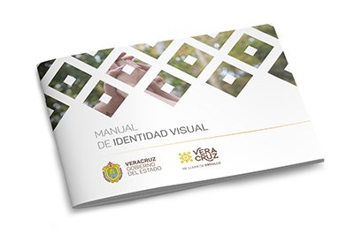 Gobierno del Estado de Veracruz manual de identidad visual