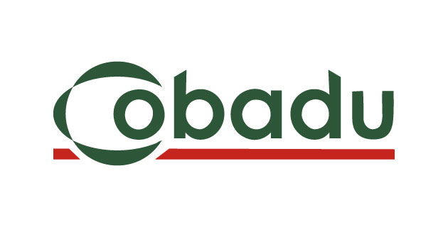 logo vector Cobadu