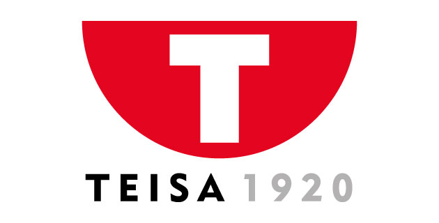 logo vector Teisa
