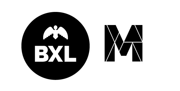 logo vector Brussels City Museum