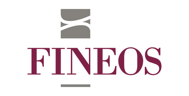 logo vector Fineos