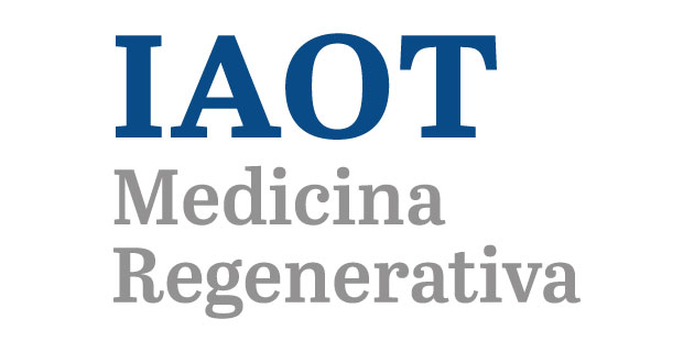 logo vector IAOT