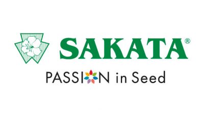logo vector Sakata Seed Ibérica