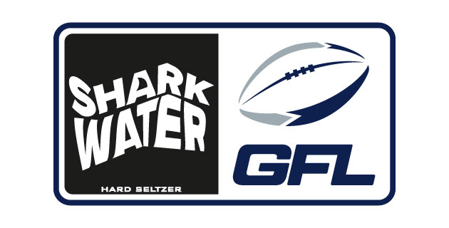 logo vector German Football League